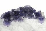 Cubic Purple-Blue Fluorite with Phantoms - China #161569-3